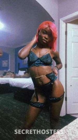 21 year old French Escort in Memphis TN IT'S PARISS? Explore no more just come enjoy? INCALLS &