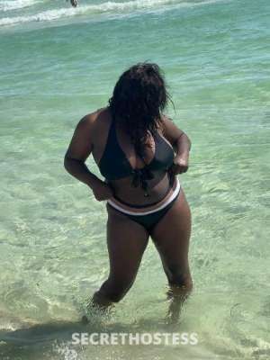Shea 24Yrs Old Escort Panama City FL Image - 6