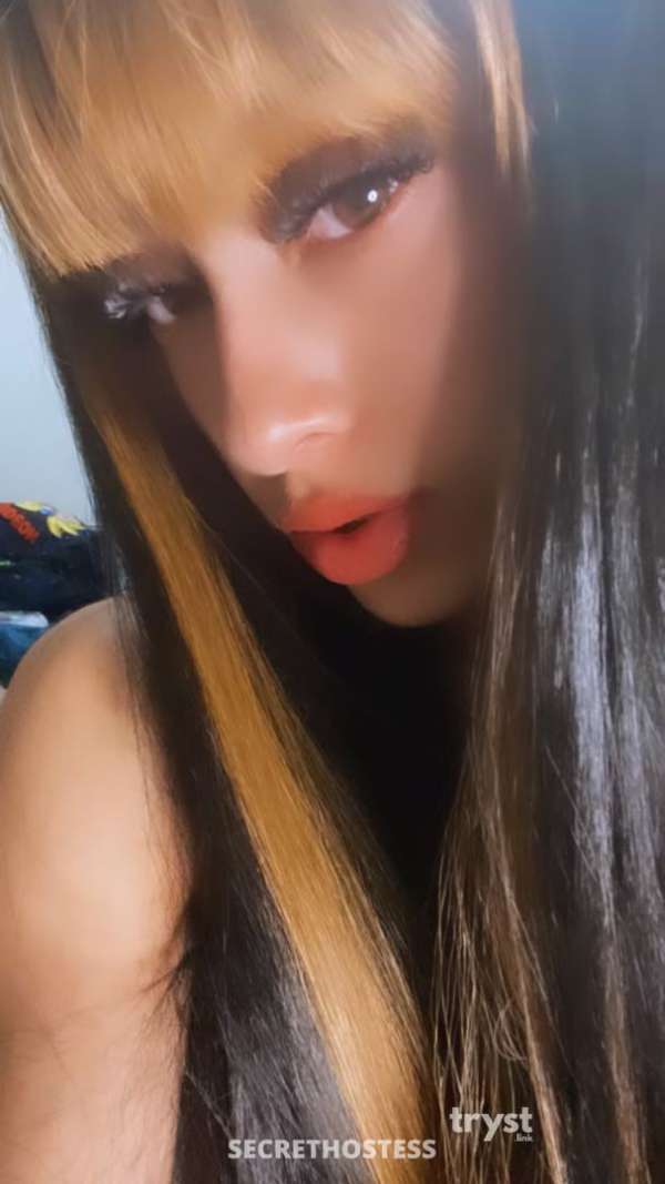 Lora 20Yrs Old Escort 154CM Tall Dallas TX Image - 4
