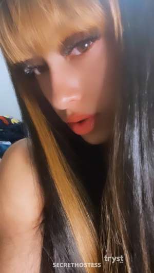 Lora 20Yrs Old Escort 154CM Tall Dallas TX Image - 4