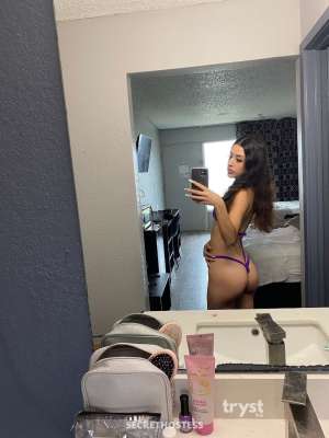 Lora 20Yrs Old Escort 154CM Tall Dallas TX Image - 13