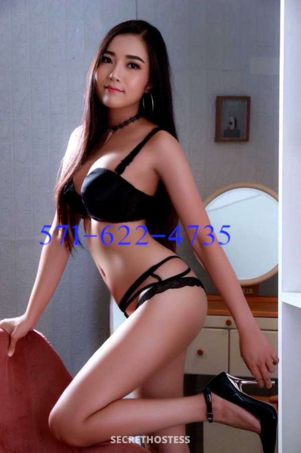 26Yrs Old Escort Northern Virginia DC Image - 1