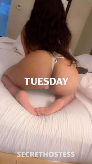 Honey??❗️ 23Yrs Old Escort Killeen TX Image - 7