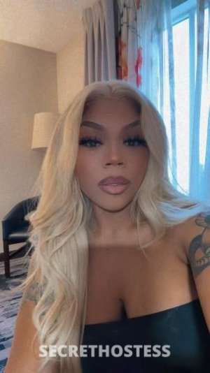 Katt 27Yrs Old Escort Warwick RI Image - 3
