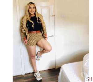 Maya 26Yrs Old Escort Essex Image - 7