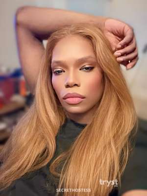 30Yrs Old Black Escort Black Brown Eyes 183CM Tall New York  in New York City NY