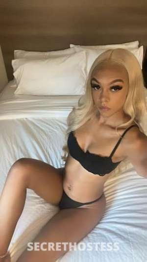 Aaliyah 20Yrs Old Escort Olympia WA Image - 2