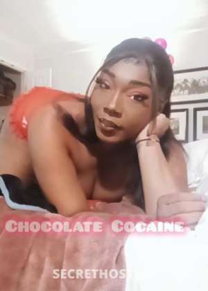 ChocolateCoCaine 29Yrs Old Escort Long Beach CA Image - 5