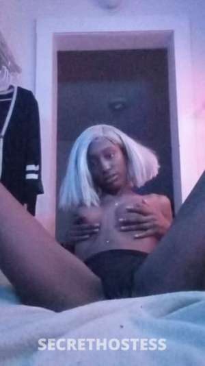 FreakyFoxy 23Yrs Old Escort Jacksonville FL Image - 1