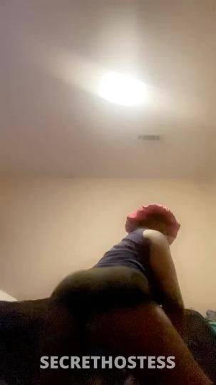 18Yrs Old Escort North Mississippi MS Image - 0