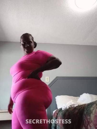 35Yrs Old Escort North Mississippi MS Image - 1