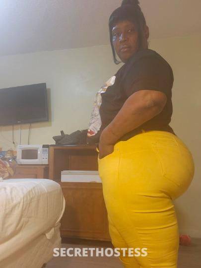 35Yrs Old Escort North Mississippi MS Image - 2