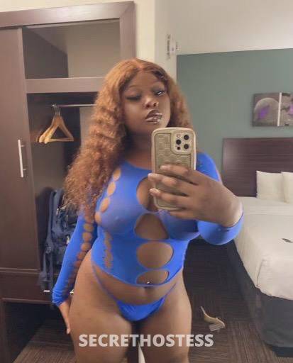 Envy 21Yrs Old Escort Norman OK Image - 2