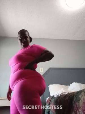 35Yrs Old Escort North Mississippi MS Image - 1