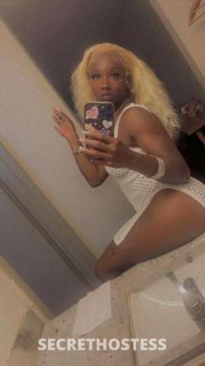 27 year old Escort in Tri-Cities TN A Dream Come True ?? Incalls and Outcalls
