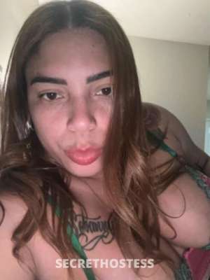25 year old Escort in Raleigh NC polla sexy