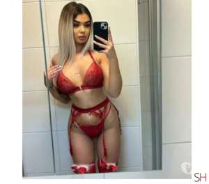 25 year old Latino Escort in Leicester Emily.I just arrived.best owo., Independent