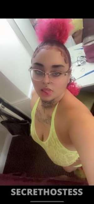 Honey 26Yrs Old Escort San Mateo CA Image - 4