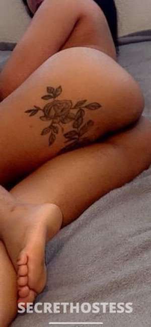 24 year old Escort in Houston TX Kim 24Yrs Old Escort Houston TX