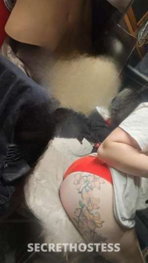 Shyanne 28Yrs Old Escort Mt. Vernon WA Image - 2