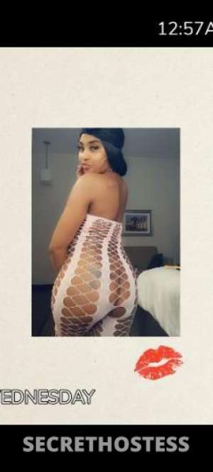 31 year old Escort in St. Louis MO BIG FAT CAT NOT The Lil One ONLY INCALLSSS
