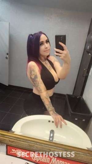 Bree 28Yrs Old Escort Tampa FL Image - 2