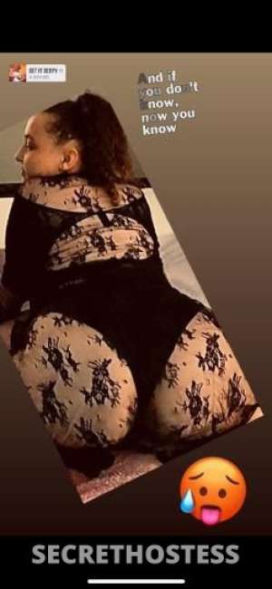 Niquee 24Yrs Old Escort Saint Louis MO Image - 4