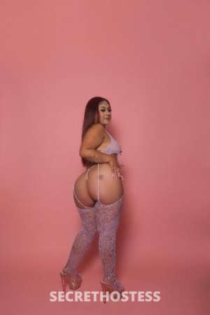 23 year old Latino Escort in San Fernando Valley CA A Sexy Latina Bombshell LET ME FULFILL ALL OF YOUR FANTASIES