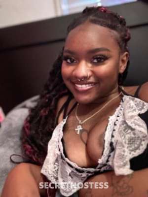 Cocoa 20Yrs Old Escort Albuquerque NM Image - 3