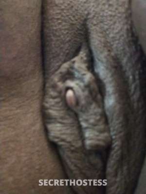 43 year old Escort in Houston TX Kim BBW Back IN TOWN