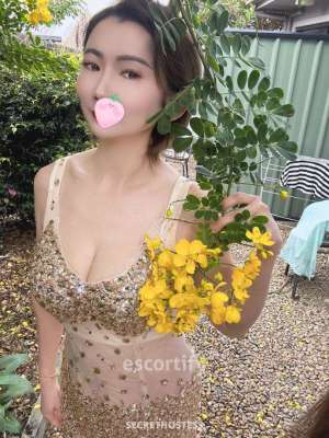 Lisa 26Yrs Old Escort Wellington Image - 3