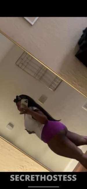 Rose 23Yrs Old Escort Stockton CA Image - 1