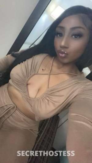 25Yrs Old Escort Saint Louis MO Image - 6