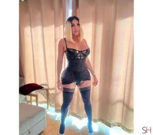 25Yrs Old Escort East Coast and Midlands Image - 4