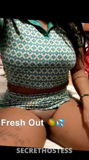 Sasha 26Yrs Old Escort Miami FL Image - 2