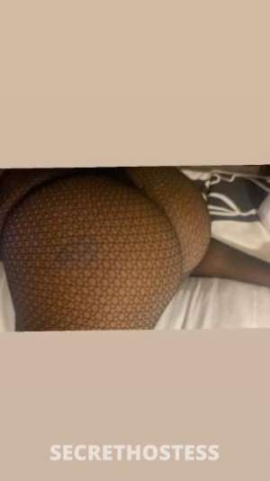 Bailey 25Yrs Old Escort Toledo OH Image - 5