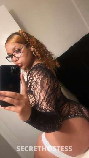 19 year old Escort in Los Angeles CA Young exotic mixed freak with a wet mouth, come experience 