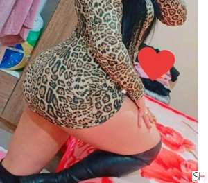 29 year old White Escort in Xanxere Santa Catarina Me chama vamos nos conhecer