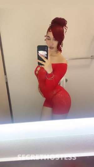 Ariel? 20Yrs Old Escort Olympia WA Image - 5