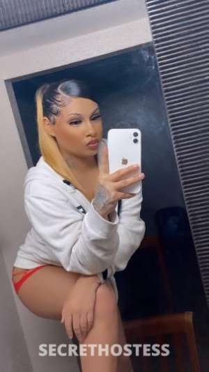 20 year old Latino Escort in San Antonio TX Latina Bombshell Mercedes