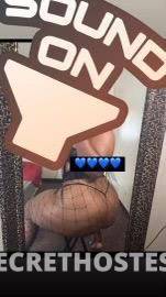 Coco 29Yrs Old Escort Fort Lauderdale FL Image - 2