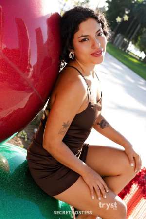 20Yrs Old Escort 156CM Tall Miami FL Image - 3