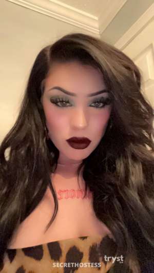 20Yrs Old Escort 163CM Tall Knoxville TN Image - 3