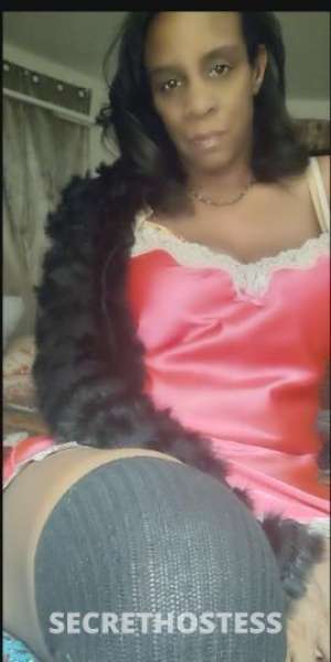 Honey 53Yrs Old Escort Denver CO Image - 1