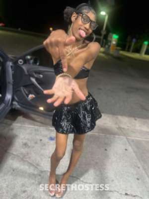 Miracle 20Yrs Old Escort San Jose CA Image - 1