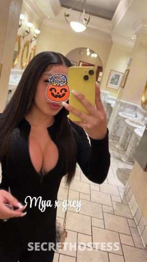 25 year old Latino Escort in Reno NV your beautiful, silly lover