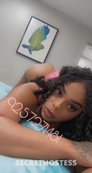 24 year old Latino Escort in Oakland CA ? New Videos New Pics ! Spicy Latina Mami ⛮ ? Content ? 5