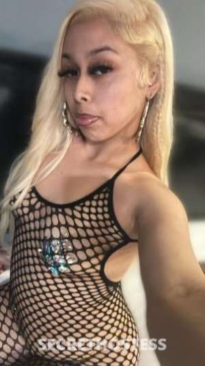 Dream 21Yrs Old Escort Los Angeles CA Image - 2