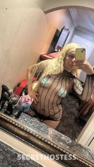 Dream 21Yrs Old Escort Los Angeles CA Image - 6