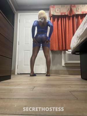Honey 21Yrs Old Escort Albuquerque NM Image - 3